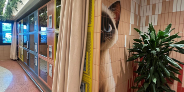 06959e04-79f9-4ac8-b8b9-8feac4de1584_image_picker_845BF3E7-DF22-4E72-B6E5-E92E9C1A7AB9-16011-000038AA2F974DAA-1