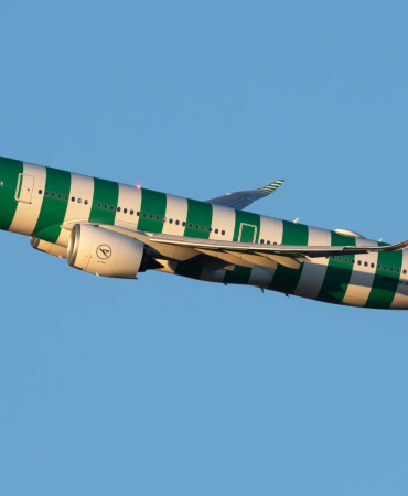 124d046f-ba2a-48ff-bd41-a23433a15bcd_d-anrd-condor-airbus-a330-941-2-cropped