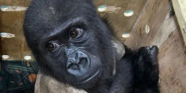 5d388cd6-8f23-4a9f-bdce-bc54899b163b_image_picker_8FC76427-8158-423D-B5E0-662E6E4C8B6E-9220-0000355F9AEA998F-1