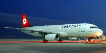 6ee1e69e-0d17-4362-960c-27dcb85167fc_turk-1