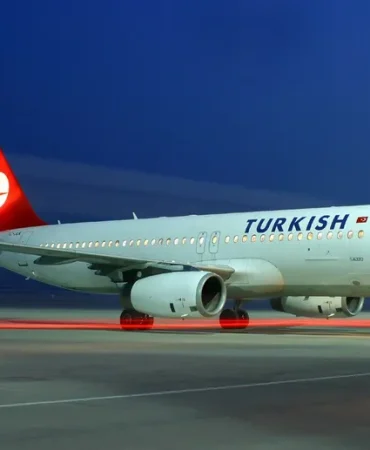 6ee1e69e-0d17-4362-960c-27dcb85167fc_turk-1