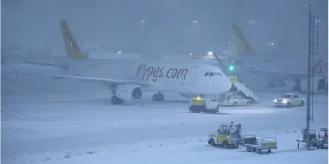 7370e4fe-dd40-4d7b-b707-3f0677b6fed7_aDCmhu_kIES9ieIGD4waLQ