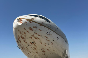 Saudia Airlines Uçağına İnişte Kuş Çarptı 1 IMG_1811