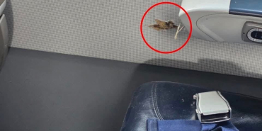 7f467c9b-7010-4e89-a820-8e8c6f69a4bb