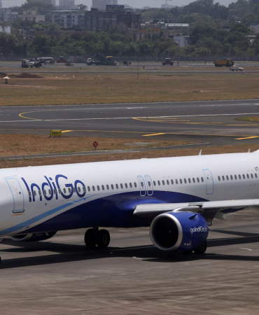 Indigo ceza