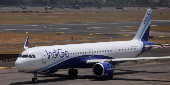 Indigo ceza
