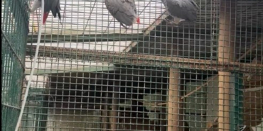 29915041-89b7-4f3a-9459-3767809ccf7f