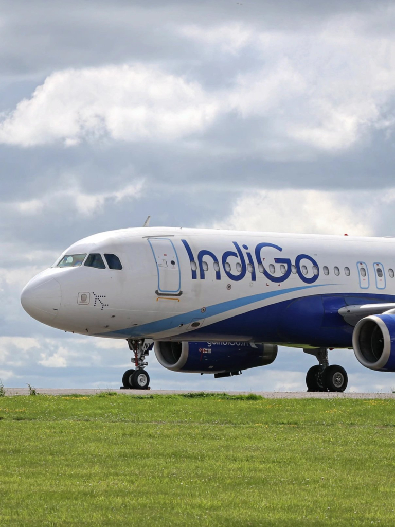indigo 1