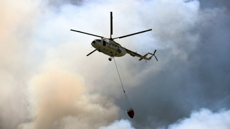 20260427 173821 e1777301234785