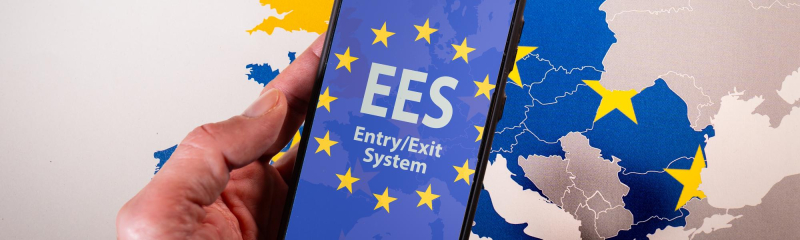 EES 3 e1775903306813