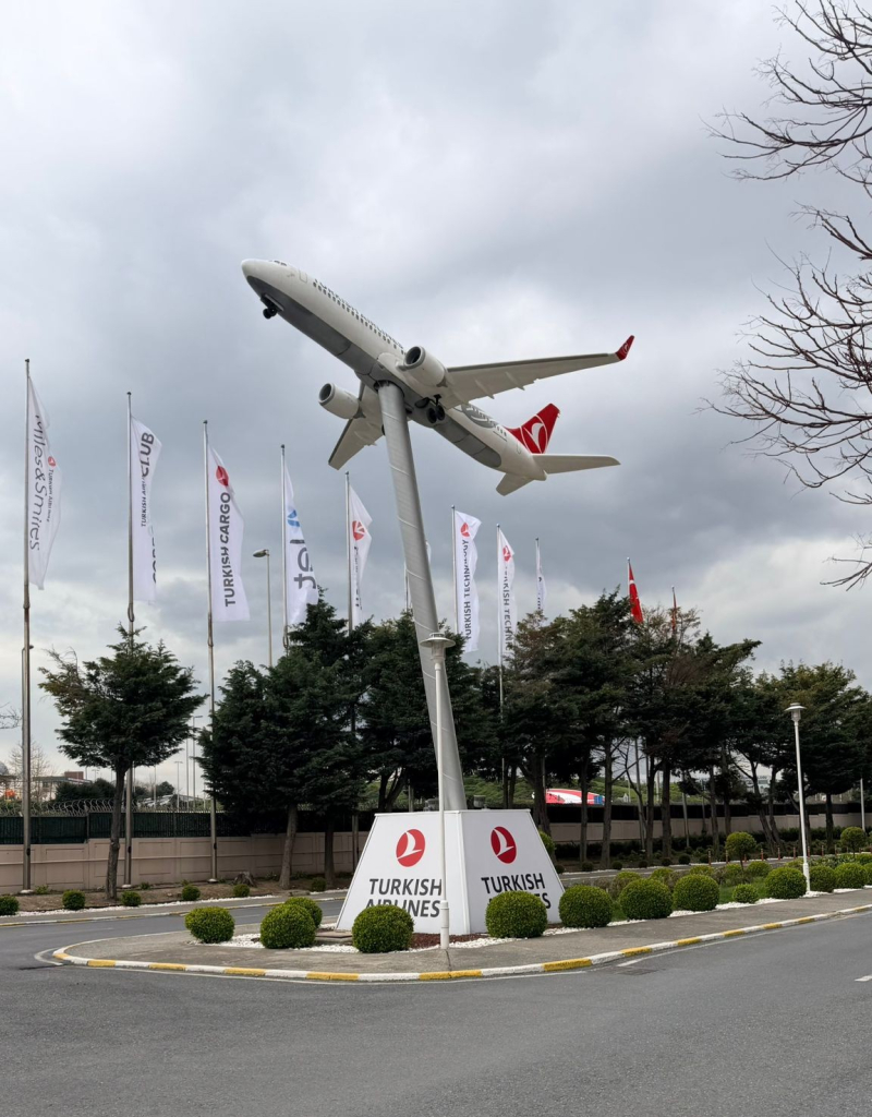 thy 3 e1776263419386