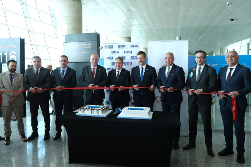 wizzzzz e1777492109231