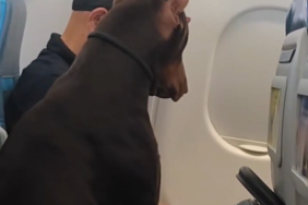 Screenshot_20260625-015825~3