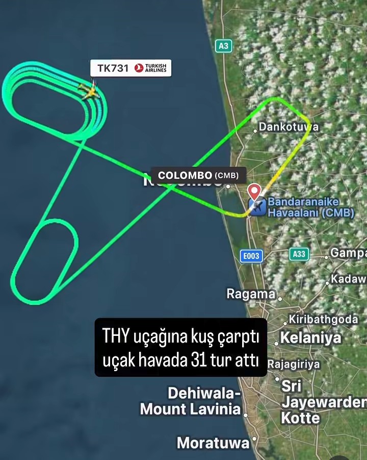 THY İstanbul uçağına kuş çarptı: Uçak Colombo'ya geri döndü 1 Screenshot 20260711 1314192
