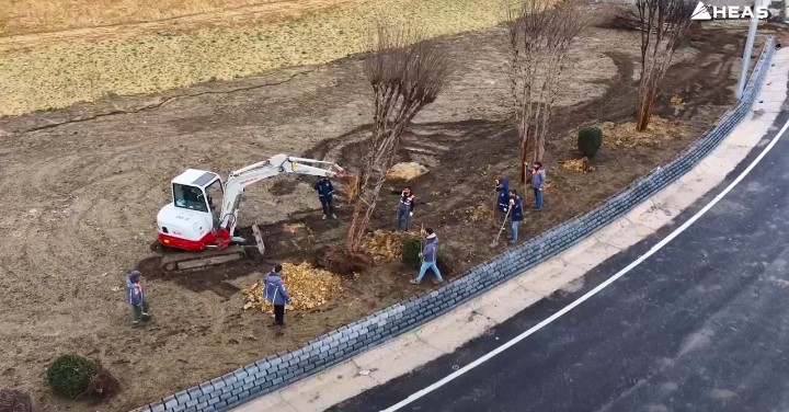 Sabiha Gökçen Havalimanı'nda yol genişletme çalışmaları öncesi 65 ağaç ve çalı nakledildi 6 Screenshot 20260731 1217252