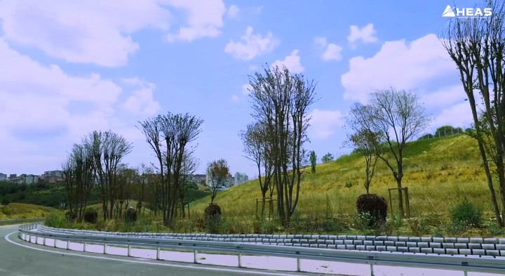 Sabiha Gökçen Havalimanı'nda yol genişletme çalışmaları öncesi 65 ağaç ve çalı nakledildi 5 Screenshot 20260731 1217532