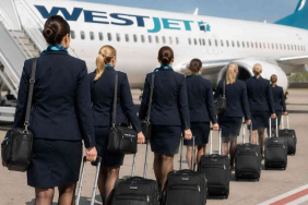 westjet_featured_image_under60kb-768x512