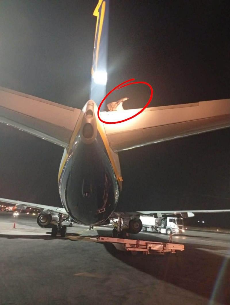 ryanair flight delayed giant vulture 137969644
