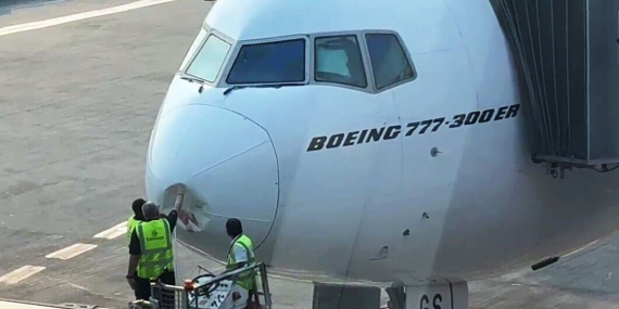 Emirates uçağına Delhi’ye inişinde kuş çarptı