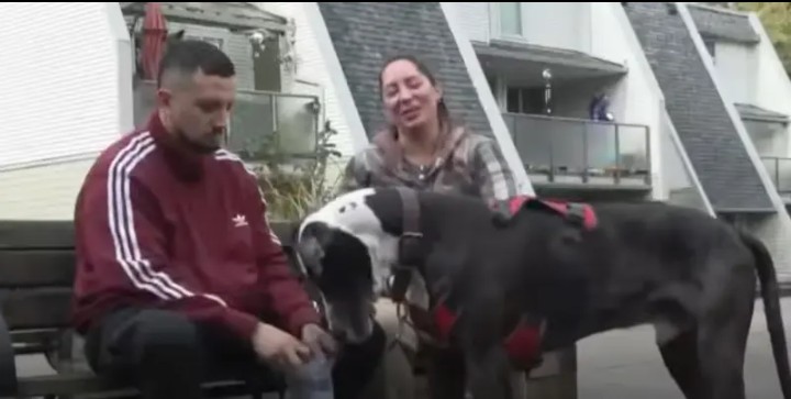 Aeroméxico diyabet hastası yolcuyu hizmet köpeğiyle uçağa almadı 1 Screenshot 20261029 1024092