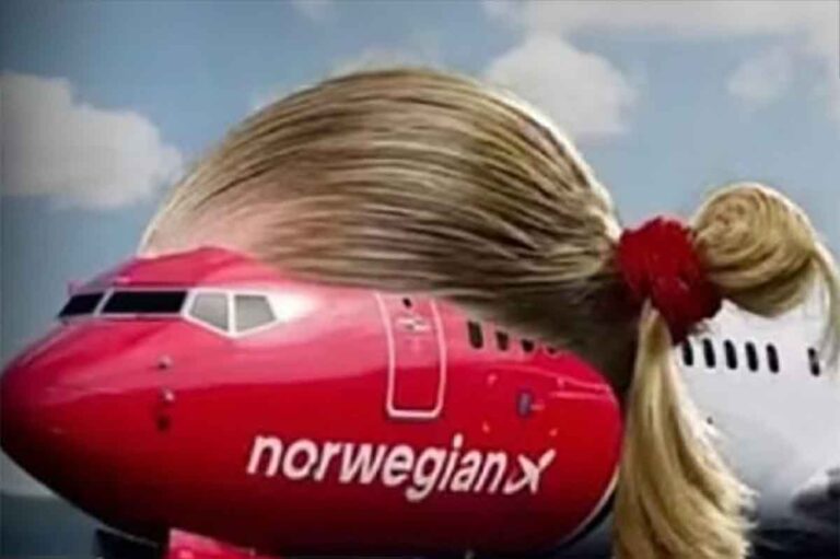 haaland norwegui 768x511 1
