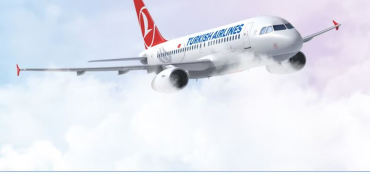 thy-a-319